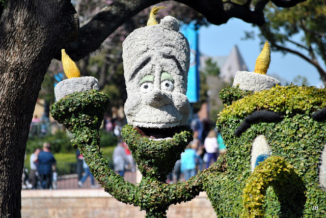DSC_0267.JPG