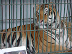 DSC05555.JPG