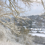 IMGP9593.jpg