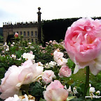 Chatsworth 7 July 2010
