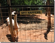 7-21-09 norman zoo 021