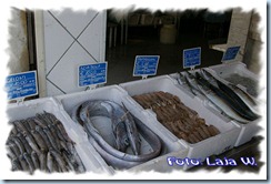 blog4 blog4