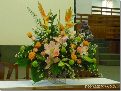 P1090048
