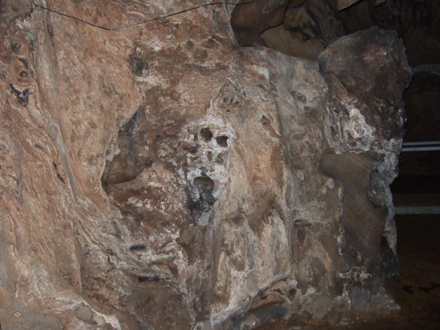 [DSCF1819_tn.jpg]