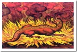 FireSalamander FireSalamander