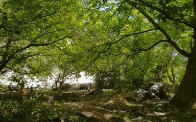 Vista-terrazas