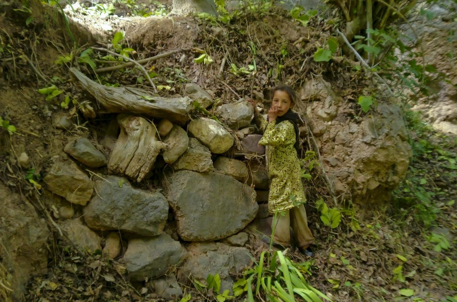 [Recogida-nueces_Peque-buscando-entre-rocas[2].jpg]