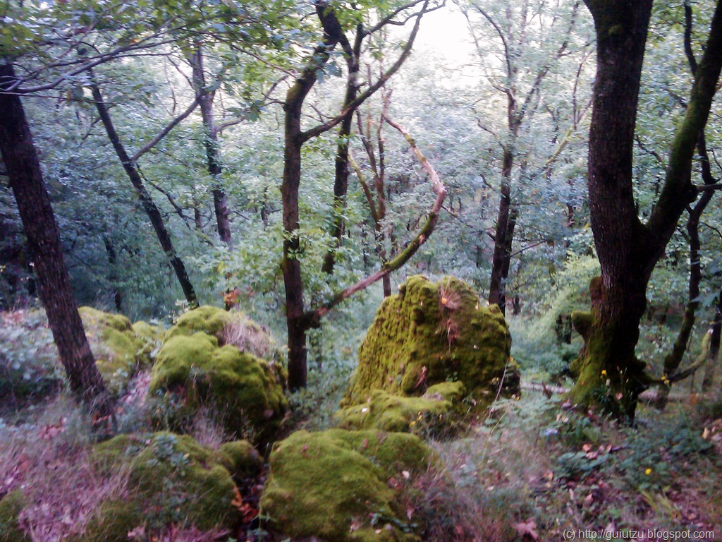 [cetatea dezna traseu enduro turistic[14].jpg]