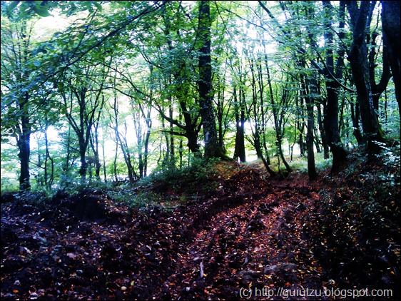 han dezna, enduro arad