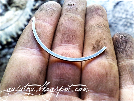 Segmenti Rupti In Motor