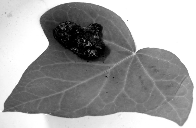 Stone sinks a leaf