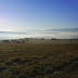 DSC00353.JPG