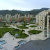DSC01010.JPG