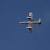 DSC_0127.JPG