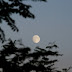 DSC_0071.JPG