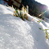 Zapada in Poiana Brasov-6.jpg