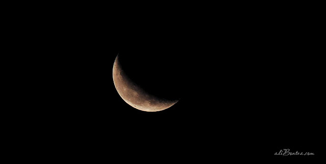 Luna, 30 decembrie 2010, 4AM