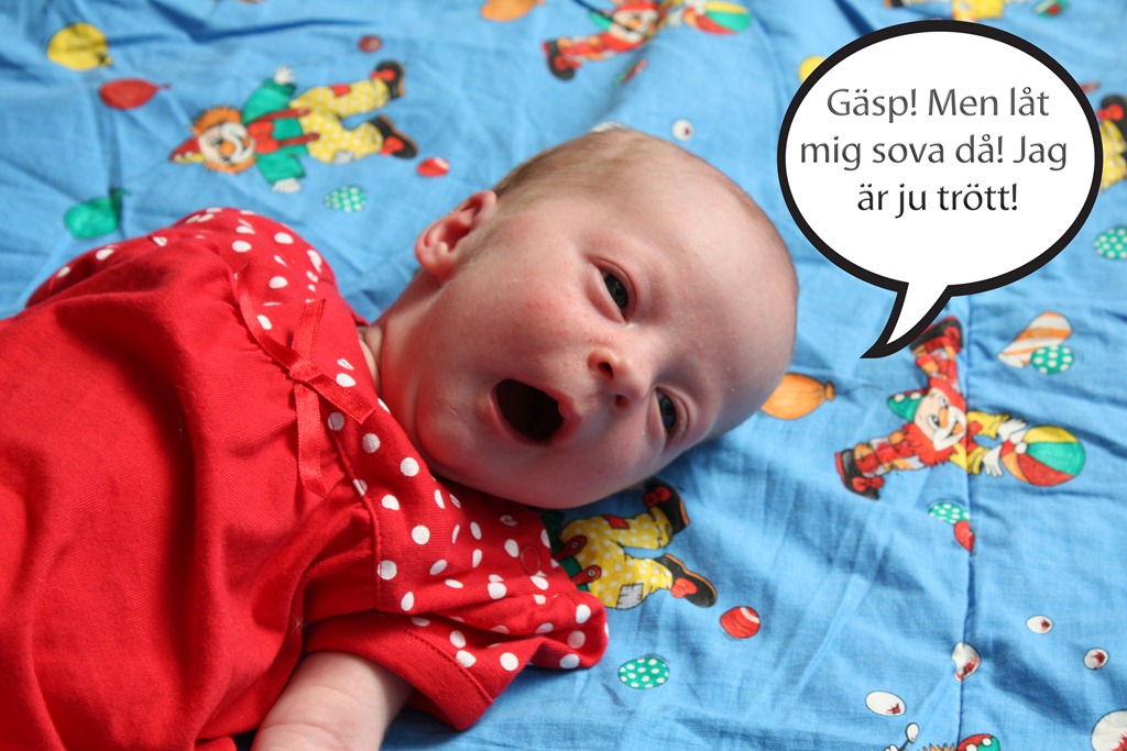 [Nellie gäspar[4].jpg]