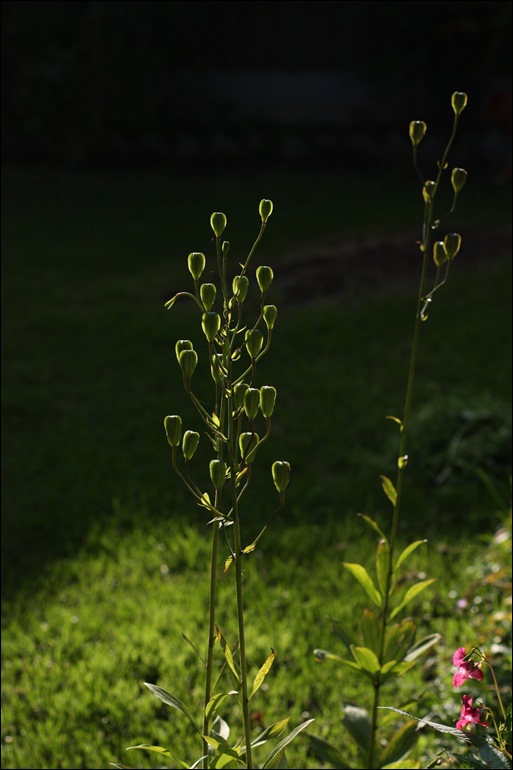 040810 164