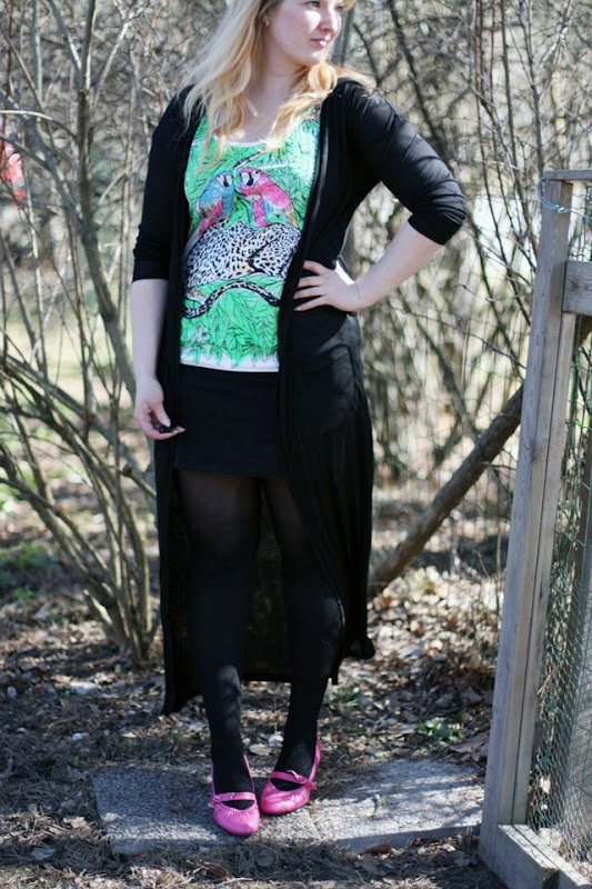 IMG_1641 IMG_1641