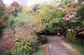 America The Beautiful - Beauty and solitude are in the eye of the beholder, as is the case with this beautiful spring setting in Central Park, just off Park Avenue near the old Plaza Hotel. Many New Yorkers consider this well designed park to be their 