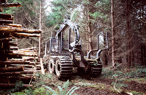 The Dirty Hands People - This empty Timberjack forwarder is working on a Tree Farm north of Roseburg, Oregon. Forwarders move through harvested stands picking up trees which they then deck at centralized locations for later reloading on logging trucks that haul the trees to nearby sawmills. Note the almost complete lack of soil disturbance. Despite its size and weight, this machine has a lighter footprint - measured in pounds per square inch - than that of a walking man.