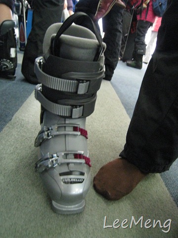 [IMG_17132.jpg]