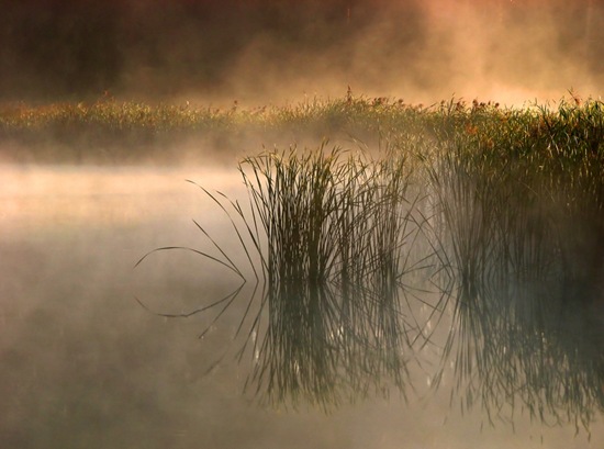 HD Nature Wallpapers