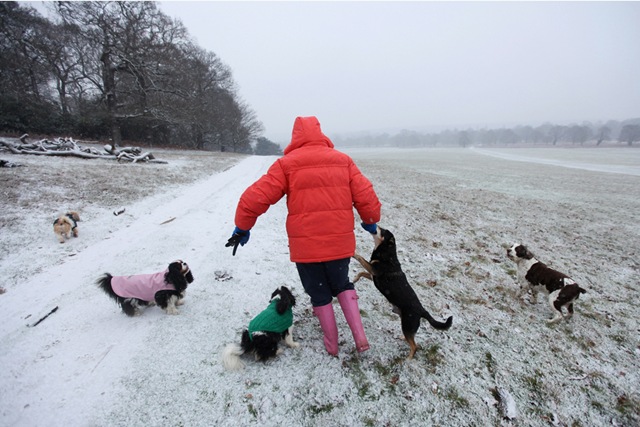 [Beautiful Weather In Winter4[2].jpg]