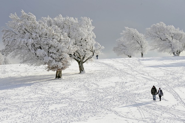 [Beautiful Weather In Winter2[2].jpg]