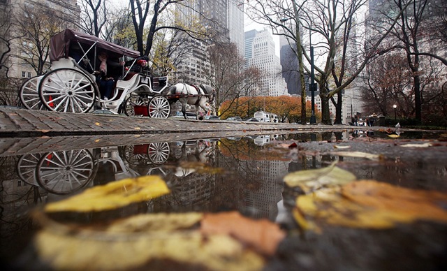 [Beautiful Weather In Winter23[2].jpg]