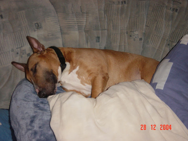 DSC00265.JPG