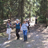 IMG_7980.JPG