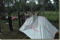 scouts tent