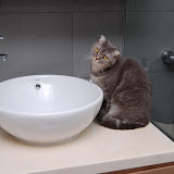 bathtub