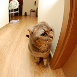 newhome