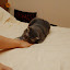 Step 3: 咬落去