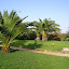 SANY0059.JPG