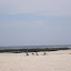 SANY0157.JPG