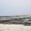 SANY0159.JPG