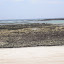 SANY0161.JPG