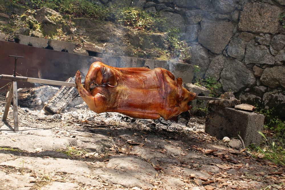 [PIC - 006-DSC06892[4].jpg]