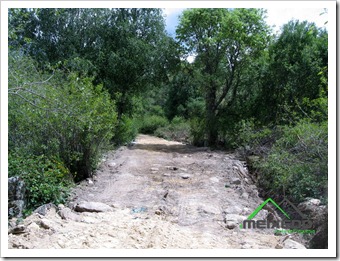 IMG_1372