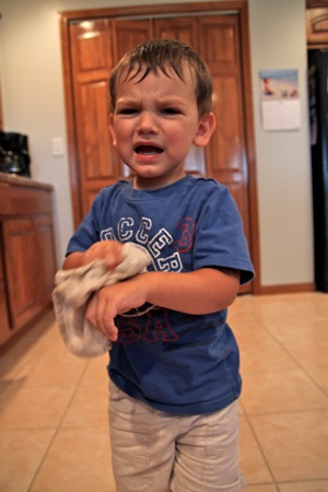 IMG_5176 2.jpg IMG_5176 2.jpg