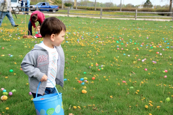 Egg hunt 5