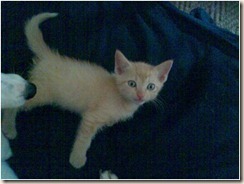 032407_1239_Badtimesare1