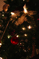 Christmas Tree 2008