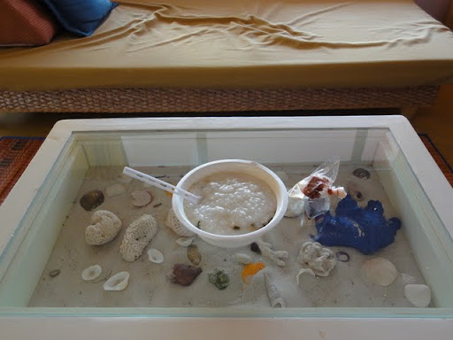 DSC01026.JPG