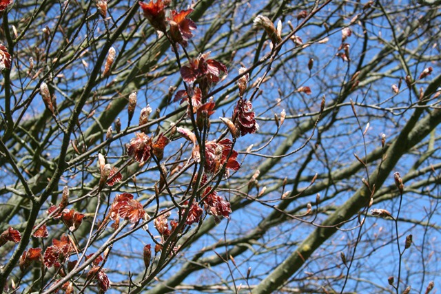 IMG_7213 IMG_7213