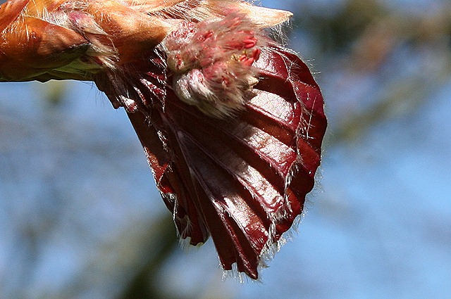 IMG_7216 IMG_7216